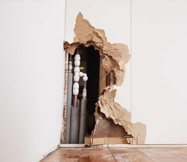 BUSINESS-INTERRUPTION-CLAIMS Water damage claims assistance Ireland