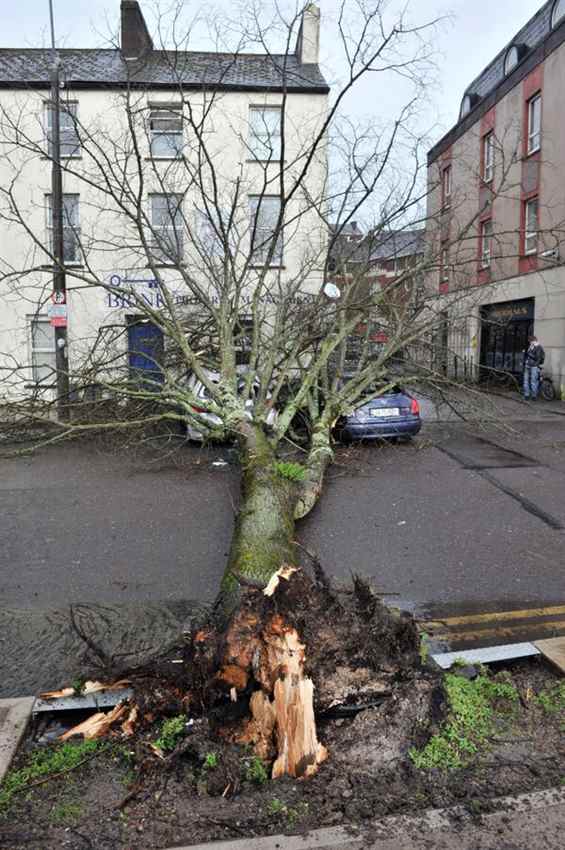 BgSHtA1CQAA1Dl2 Storm insurance claims Ireland